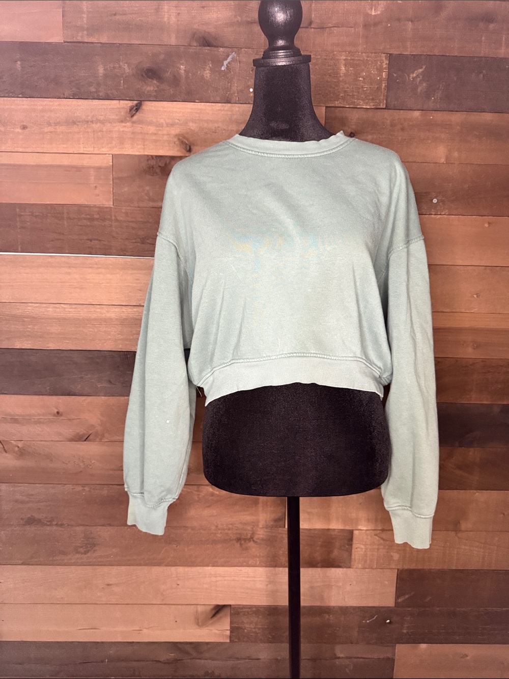 Zara Cropped Crewneck Sweatshirt in Sage